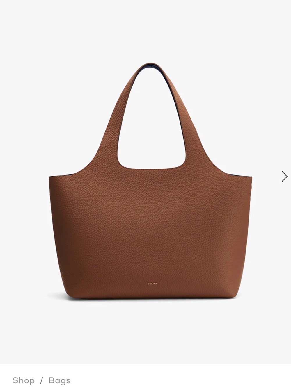 Cuyana Pebbled Leather Tote Bag